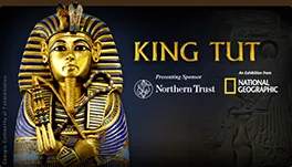kingtut_withbackground copy