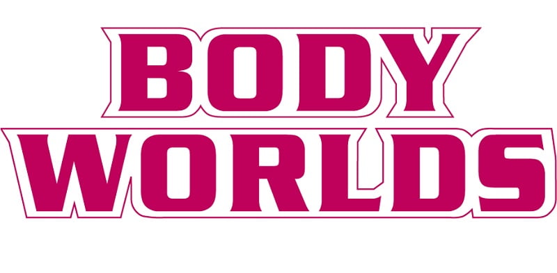 Body Worlds logo in bold magenta with a white outline.